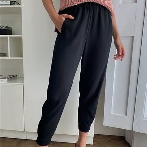 Aritzia Babaton Dexter Pant